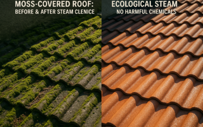 A PROP’EAU : Nettoyage Vapeur Écologique pour Toitures et Façades Trélon