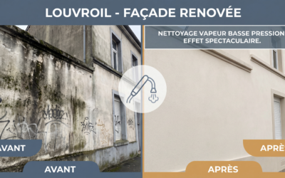 Nettoyage Vapeur Basse Pression : La Solution Écologique pour Vos Façades à Louvroil