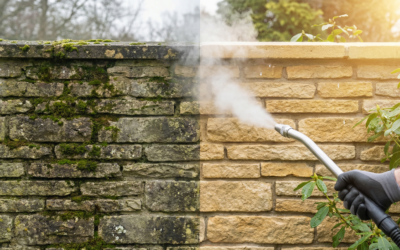 Nettoyage Vapeur Basse Pression à Maubeuge : La Solution Écologique pour Vos Façades