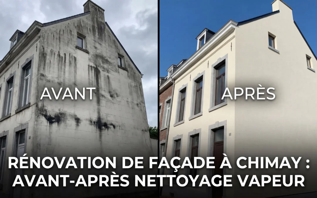 Nettoyage Vapeur Basse Pression : La Solution Écologique pour Vos Façades à Chimay