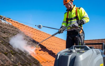Nettoyage Vapeur Basse Pression : La Solution Écologique pour le Démoussage de Toiture à Avesnes-sur-Helpe