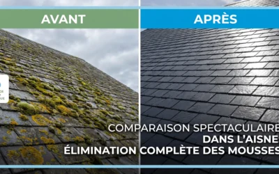 Nettoyage Vapeur Toiture et Façade dans l&rsquo;Aisne (02) : La Solution Écologique et Durable