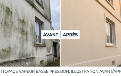 Nettoyage vapeur basse pression : La révolution écologique pour vos façades peintes