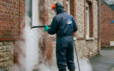 Nettoyage de Façades à Fourmies | Vapeur Basse Pression Écologique