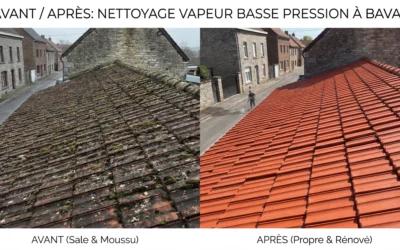 Nettoyage écologique de toitures à Bavay