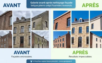 Nettoyage de Façades à Fourmies | Vapeur Basse Pression Écologique